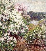 Metcalf, Willard Leroy Mountain Laurel oil